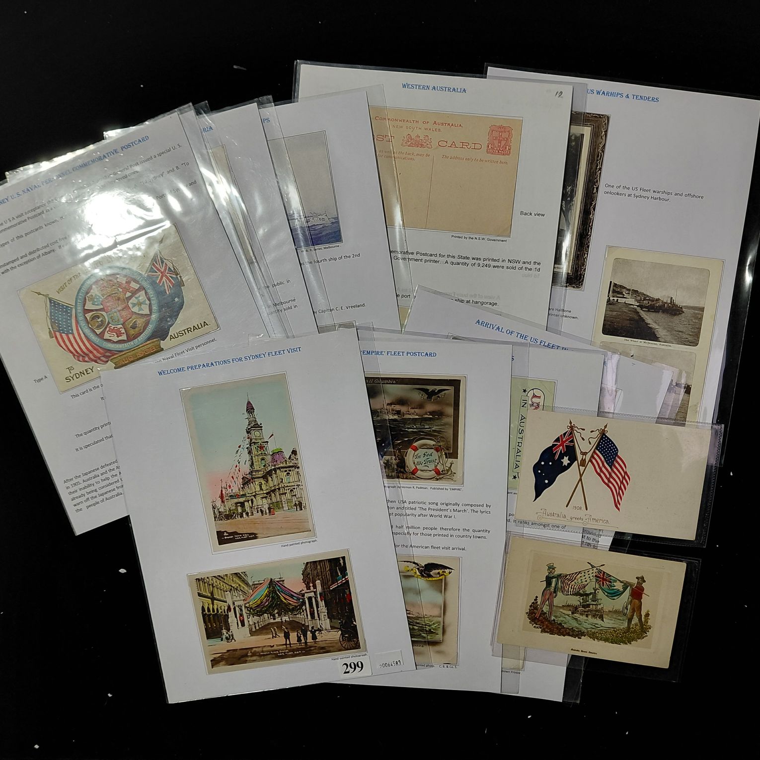 299 · POSTCARDS - U.S. FLEET 1908