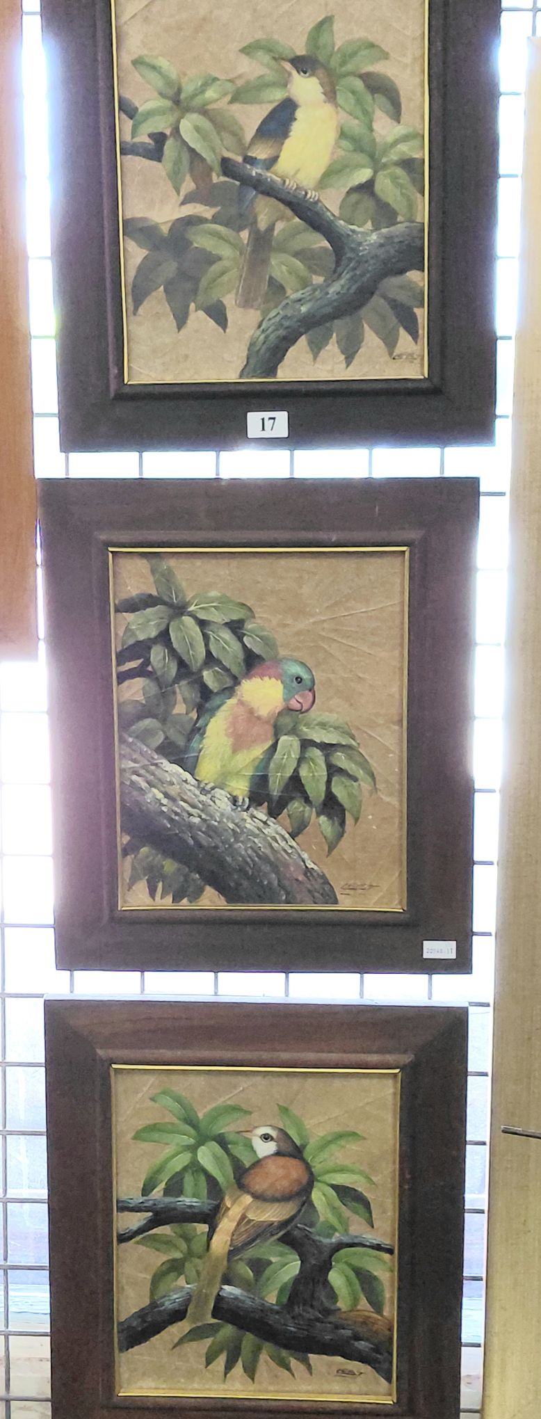 3 Birds