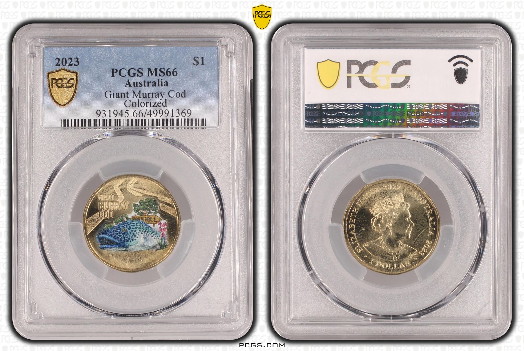 Giant Murray Cod - Coloured, One Dollar, 2023, PCGS MS66