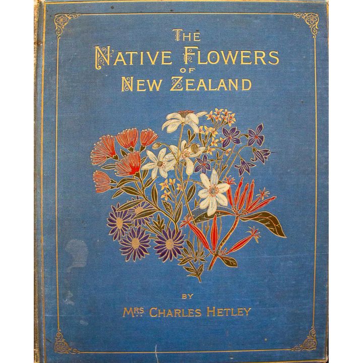 HETLEY, MRS CHARLES  [presentation copy] - The Native Flowers of New Zealand.