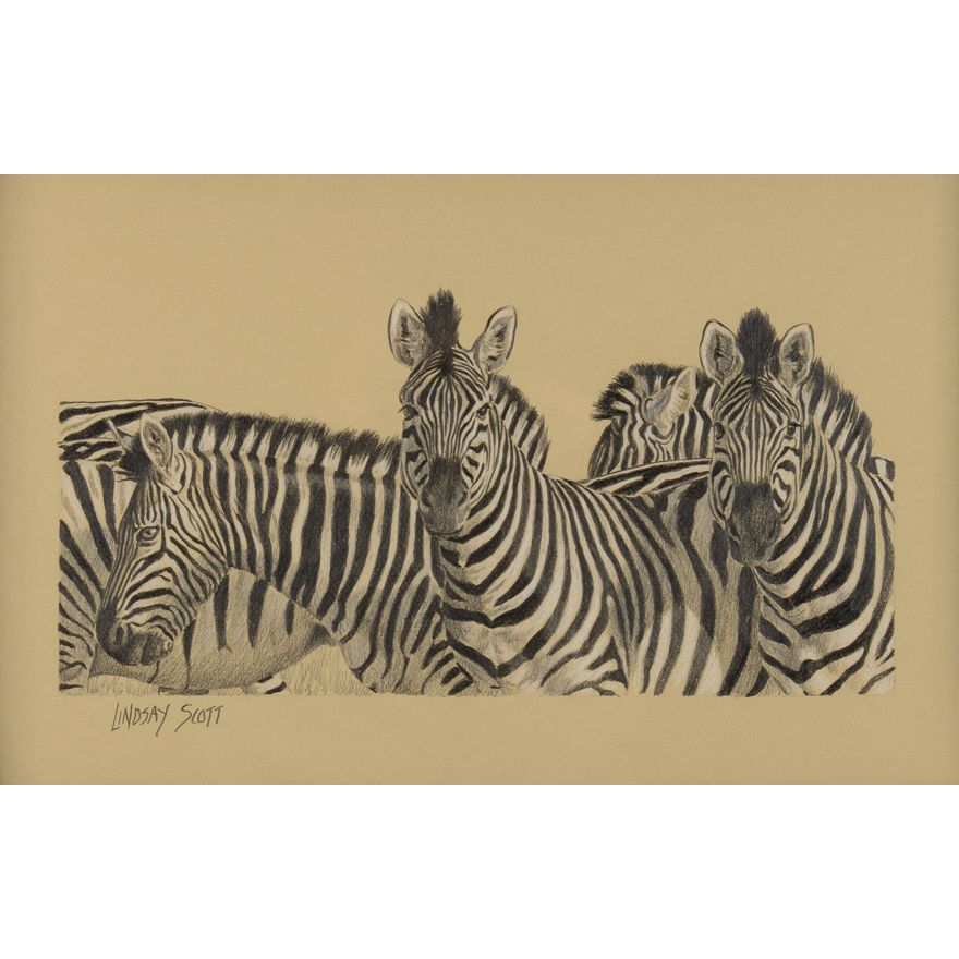 Lindsay Scott (1955- ): Double Checking