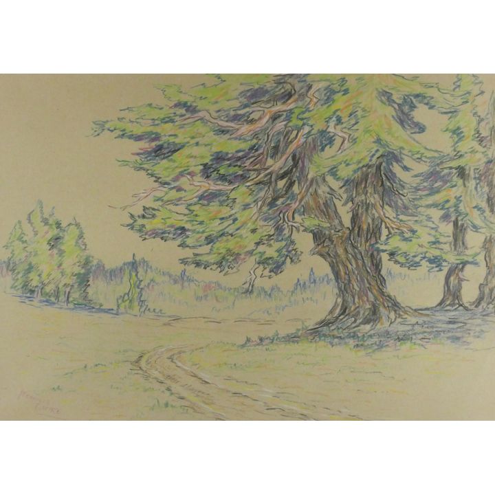 Melville Wire ''The Bend in the Road'' Colored Pencil
