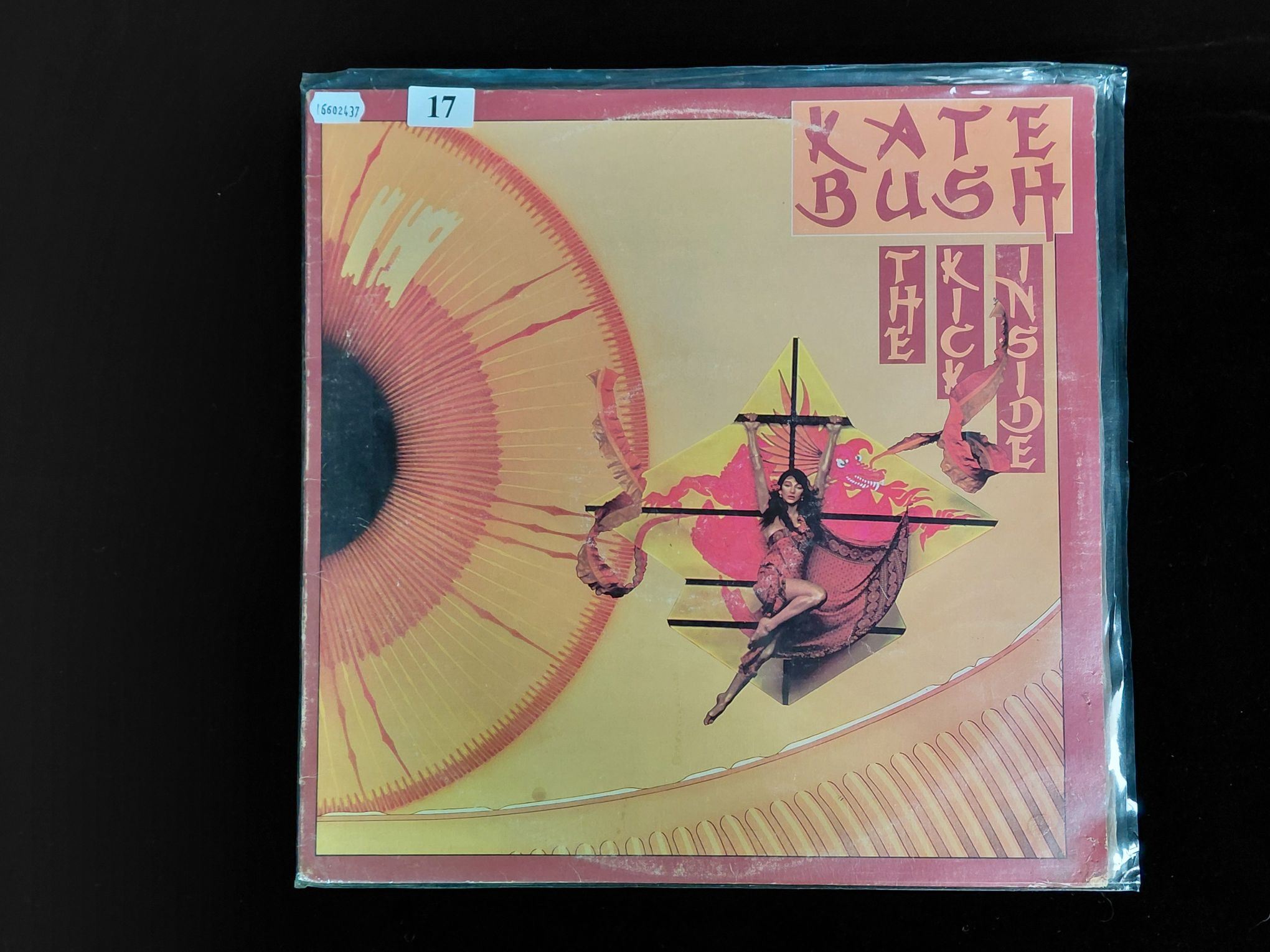 17 · KATE BUSH