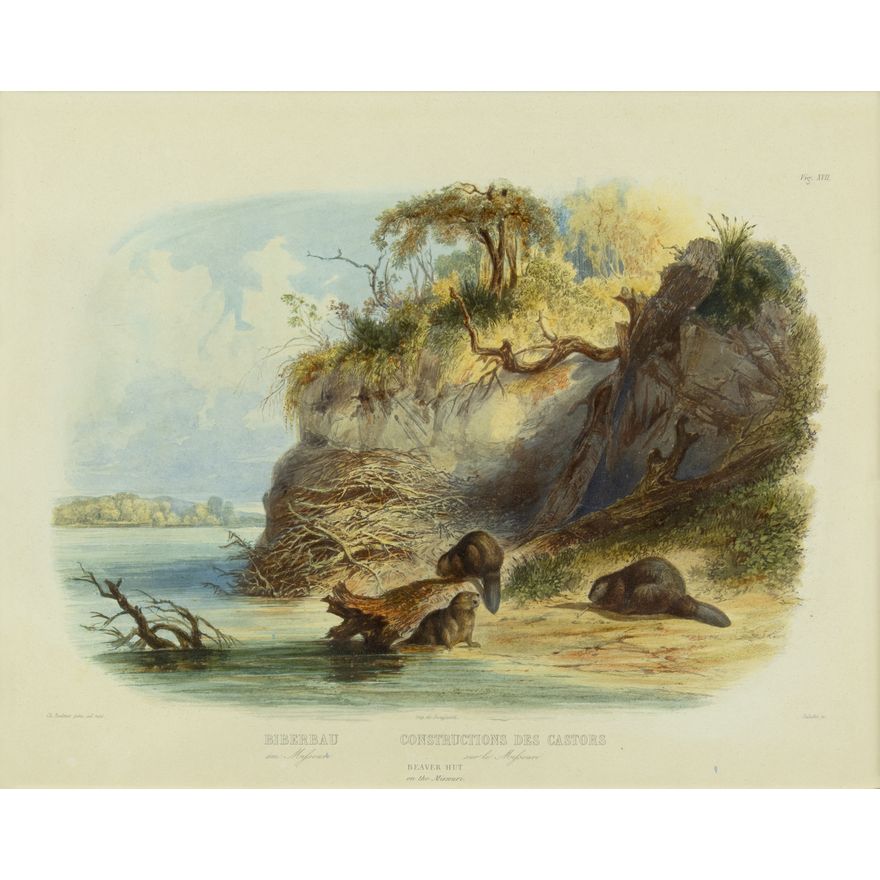 Karl Bodmer (1809-1893): Beaver Hut on the Missouri