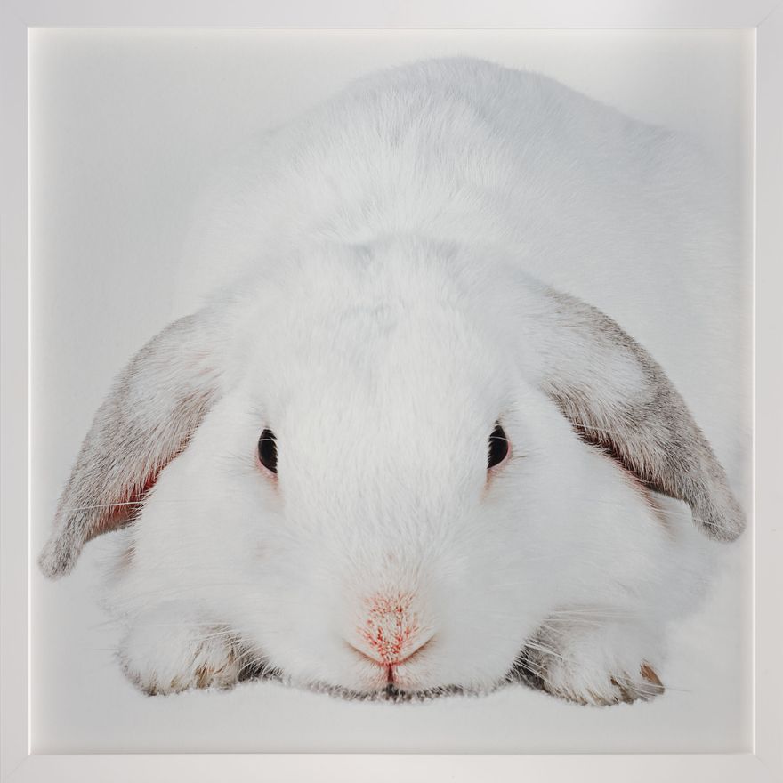 Lynne Roberts-Goodwin 'Cloud number 9'