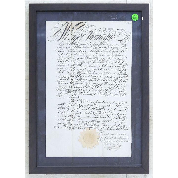 Antique European Hand Inscribed Document Framed 19''x13''