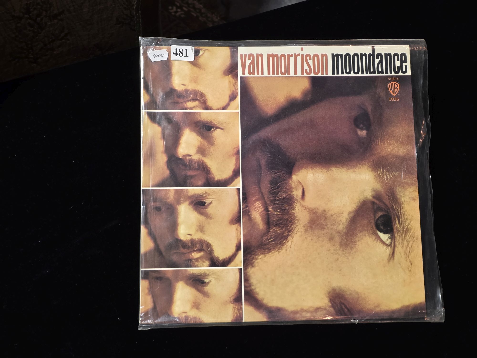 481 · VAN MORRISON