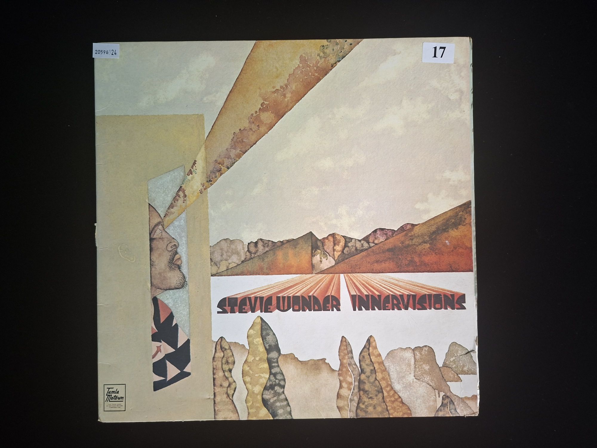 Stevie Wonder