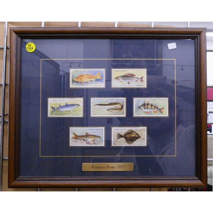 Fresh Water Fishes 1933 Player Tobacco Cards Framed- 12x16''