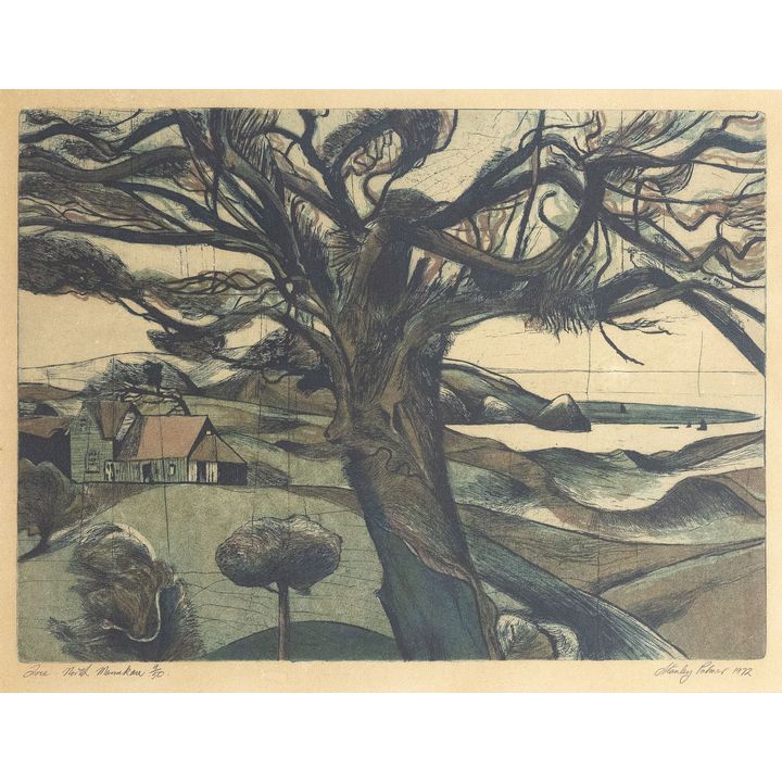 Stanley Palmer 'Tree - North Manukau'