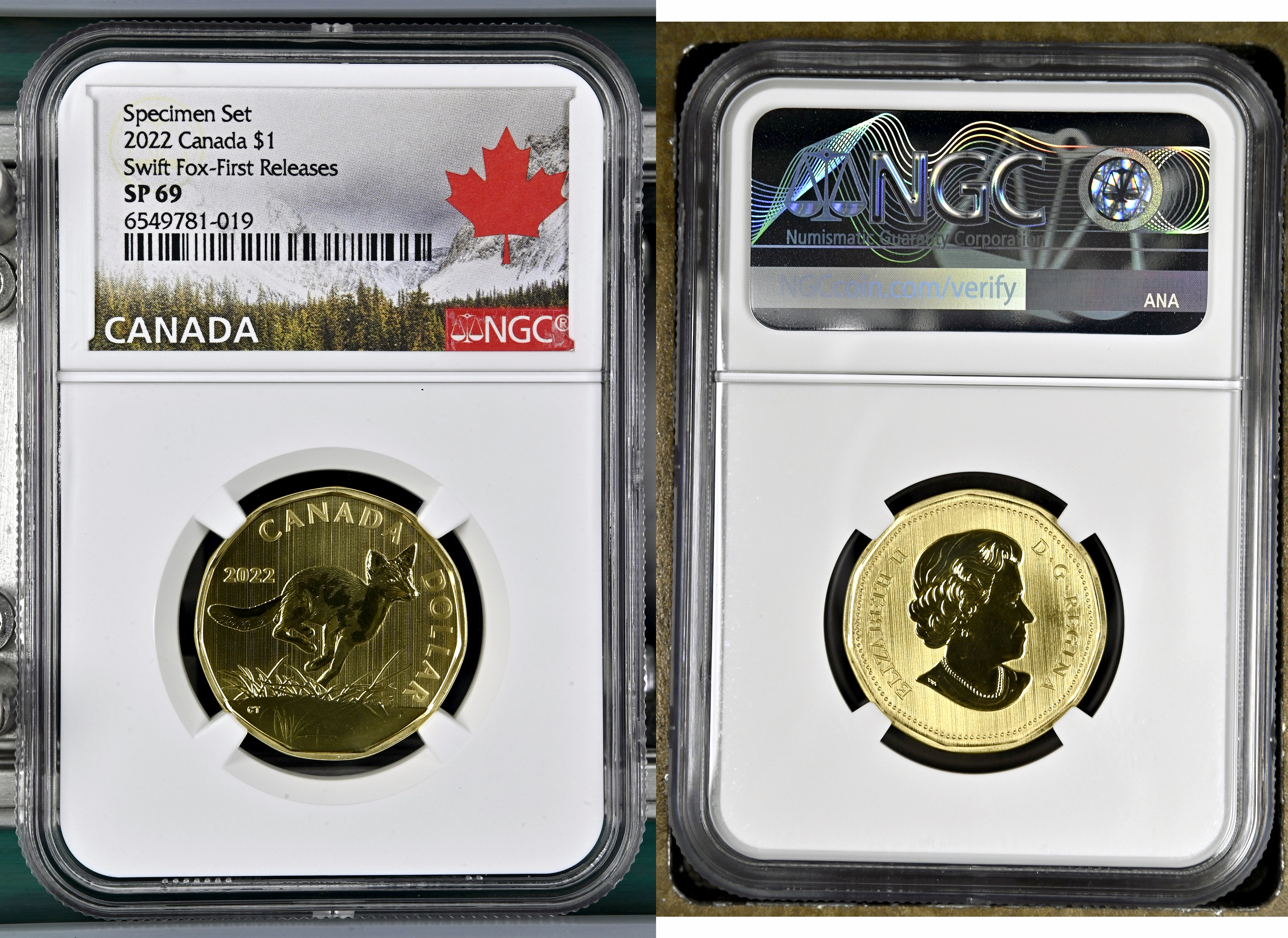 Canada, Swift Fox-First Releases Specimen Set, One Dollar, 2022, NGC SP 69