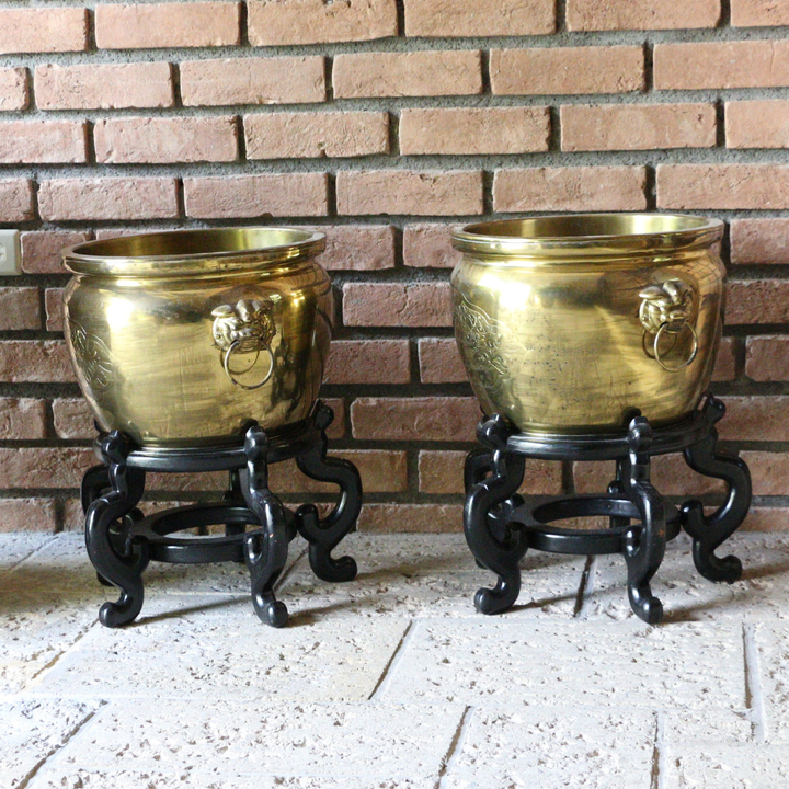 Macetones con Leones