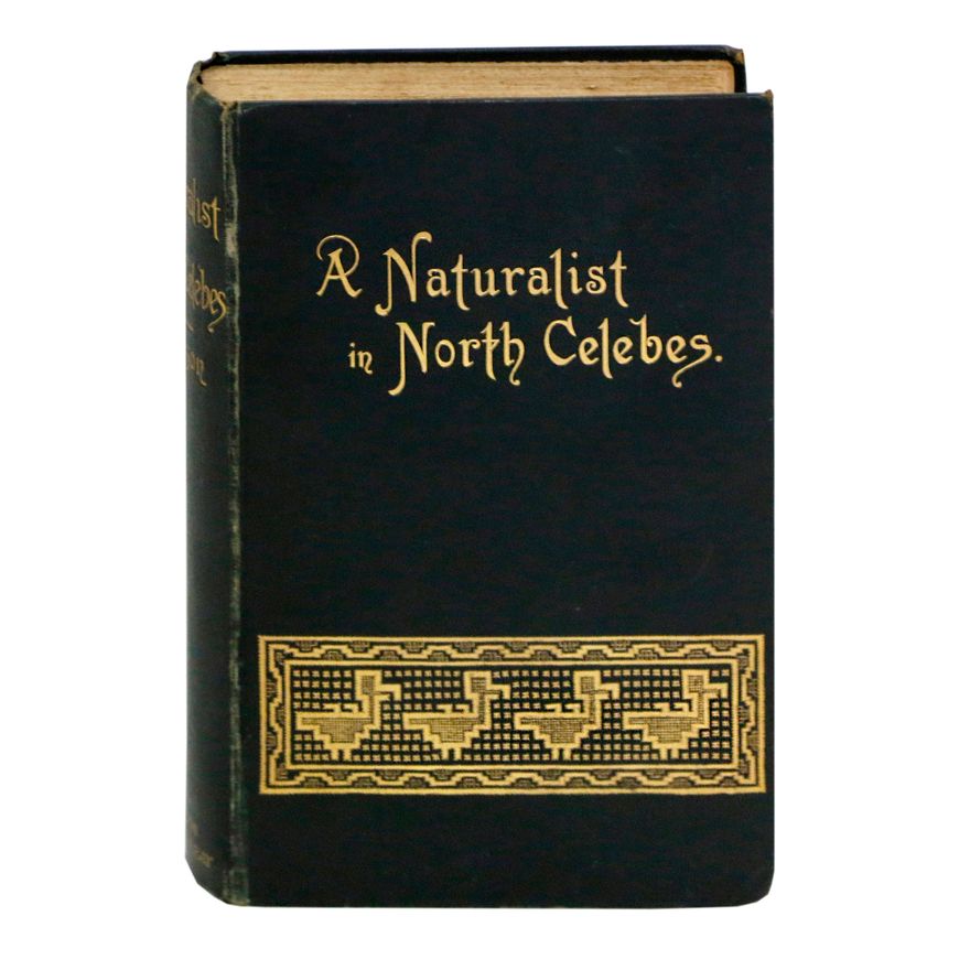 HICKSON, SYDNEY J. - A Naturalist in North Celebes.