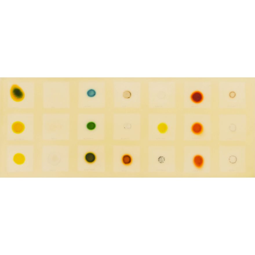 Jaq Chartier ''21 Samples'' 2001 Mixed Media