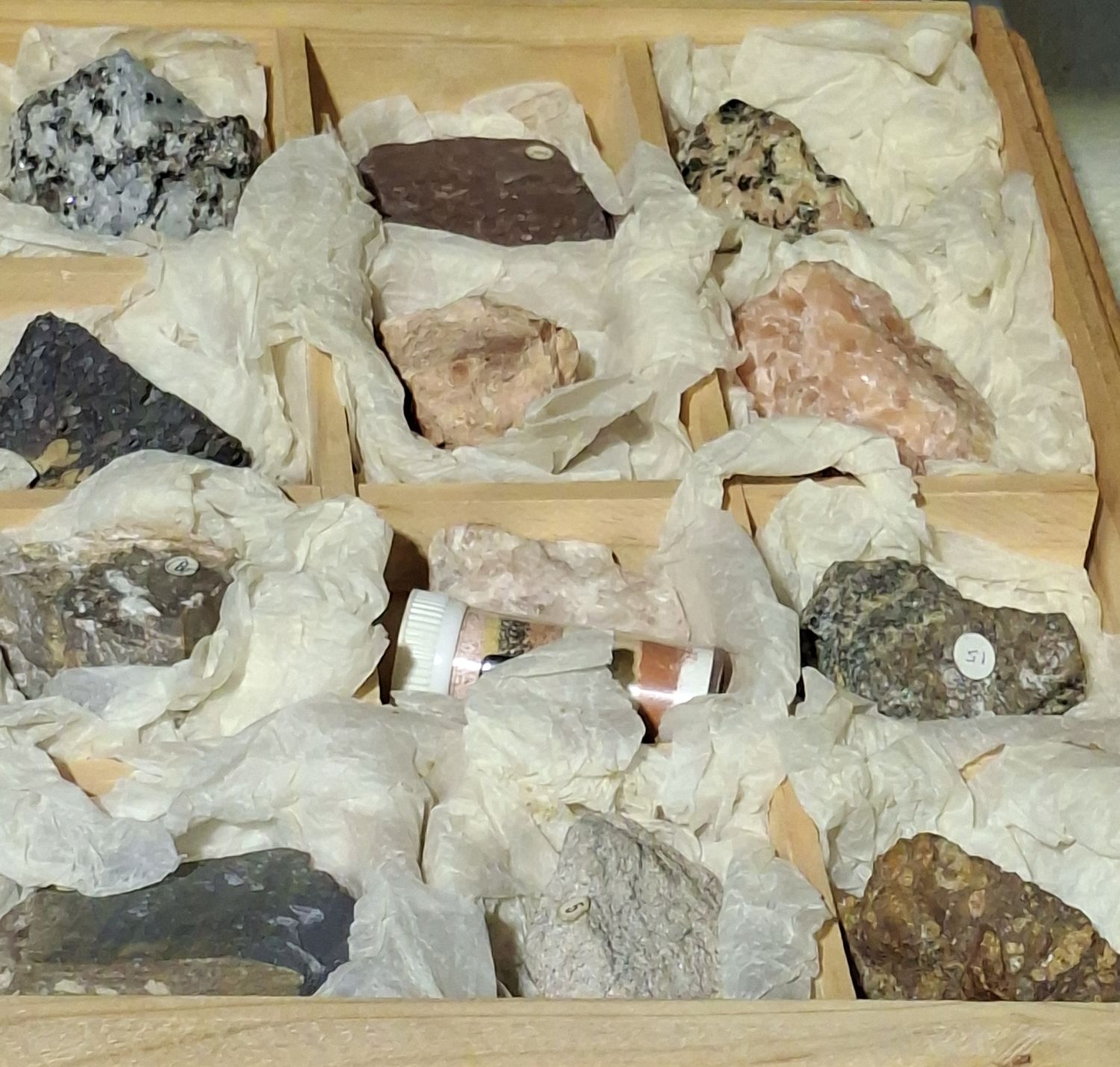 Mineral Specimens And Shells