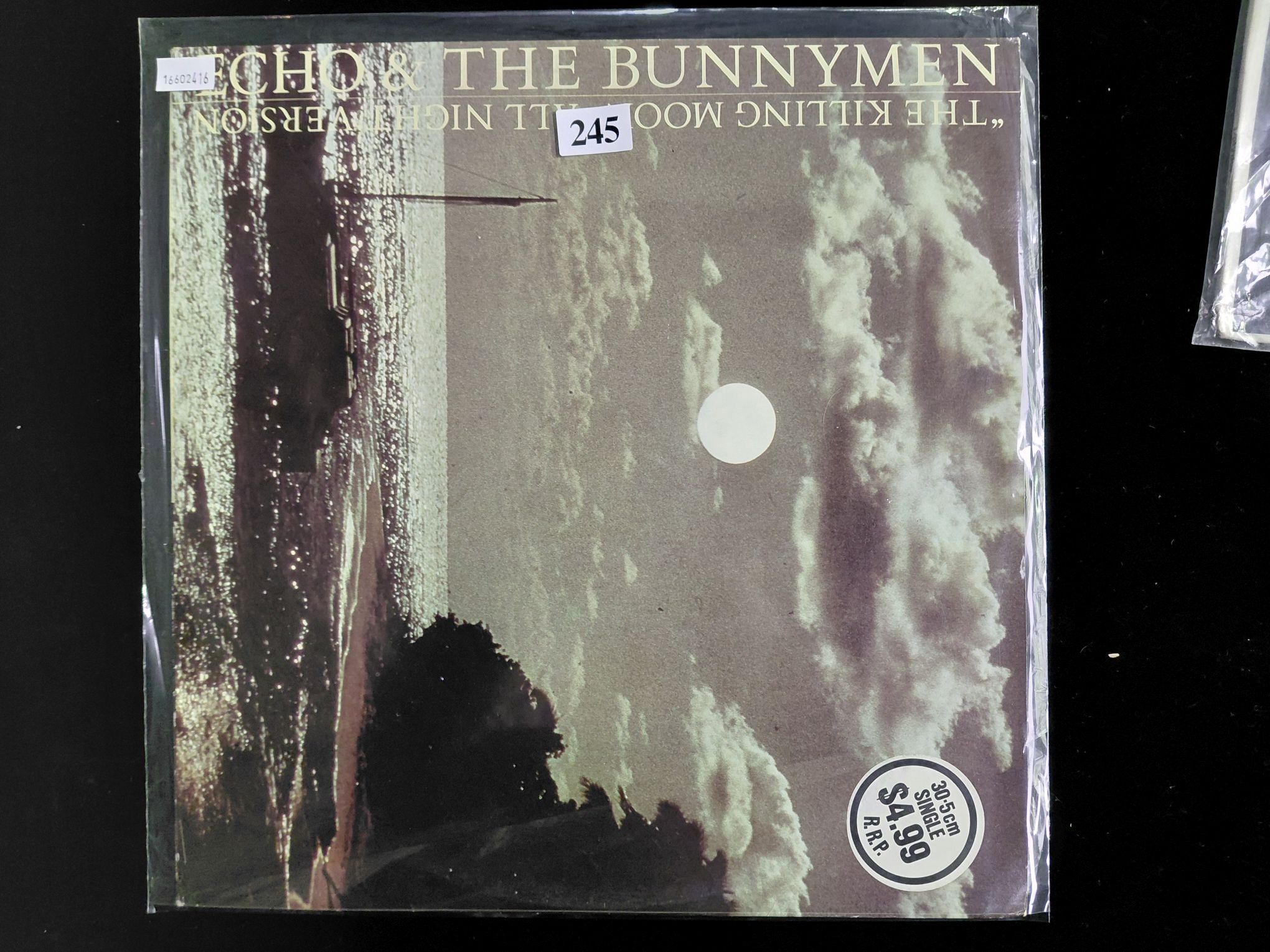 Echo And The Bunnymen