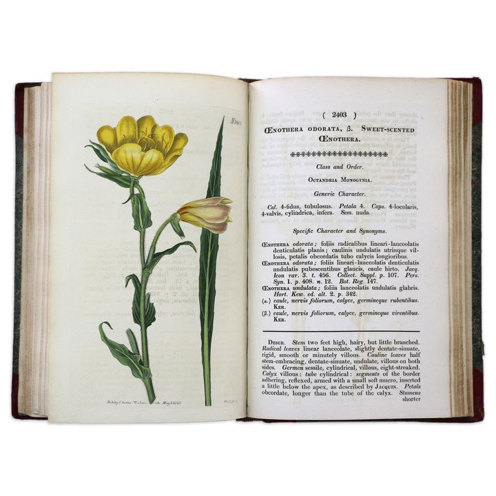 SIMS, JOHN, Curtis's Botanical Magazine: or Flower-Garden Displayed...