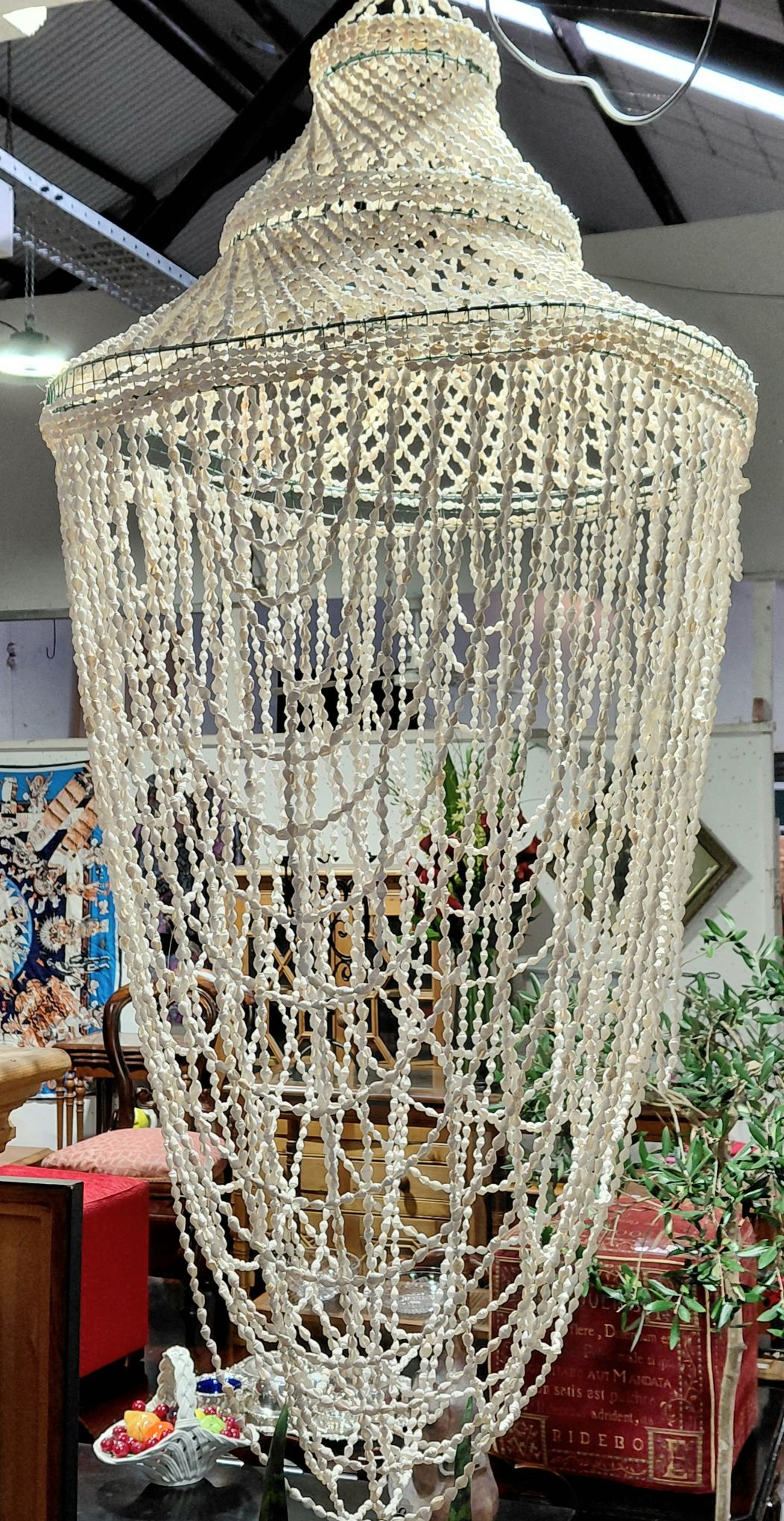 Shell Chandelier