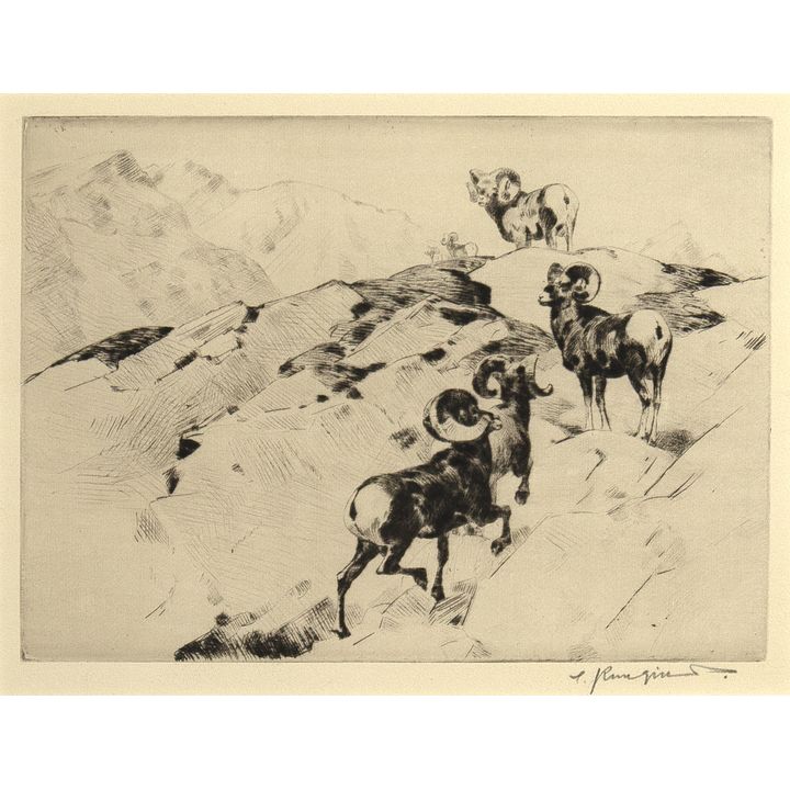 Carl Rungius (1869-1959), Alarmed
