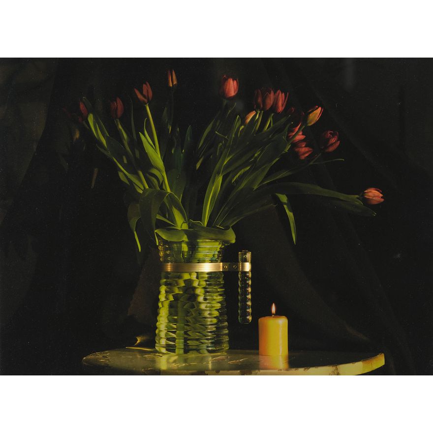 Fiona Pardington 'Still Life with Lazlo's Wilting Tulips'