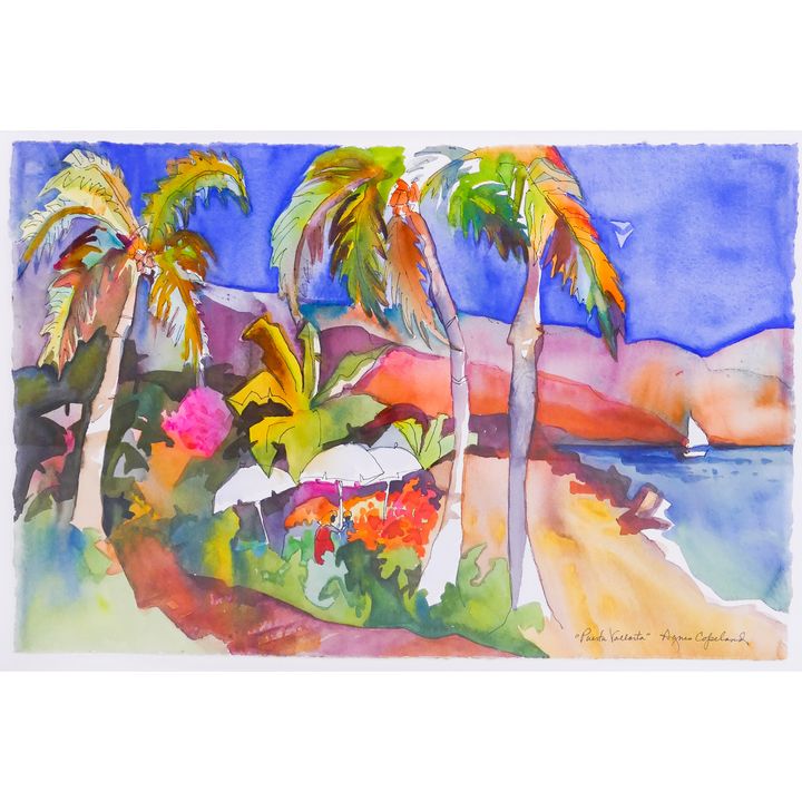 Agnes Copeland 'Puerta Vallarta' Watercolor Painting. Professionally framed. Images measures 15x22.5''
