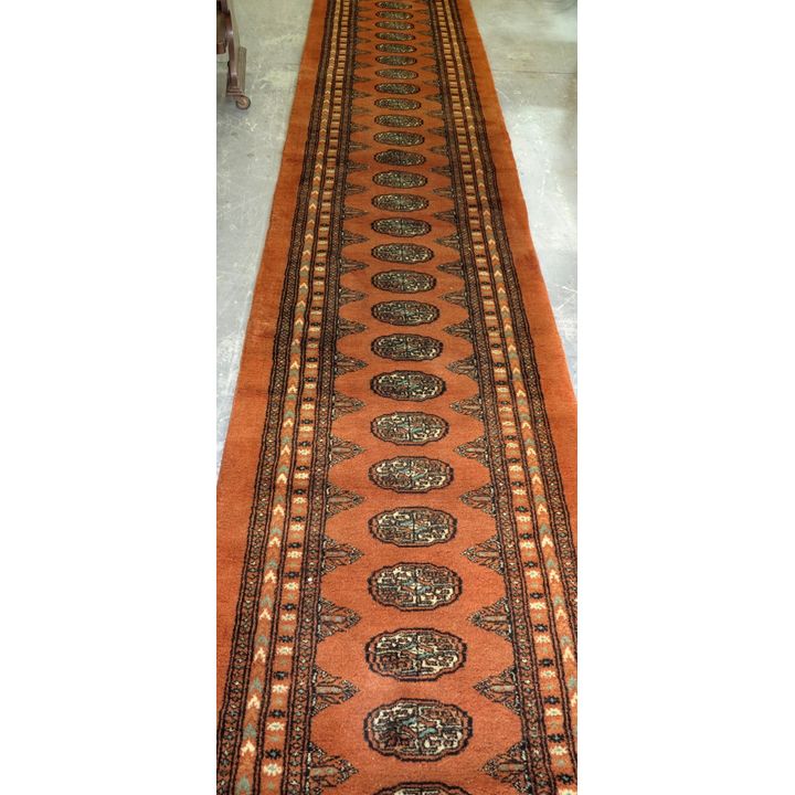 PERSIAN RUNNER,