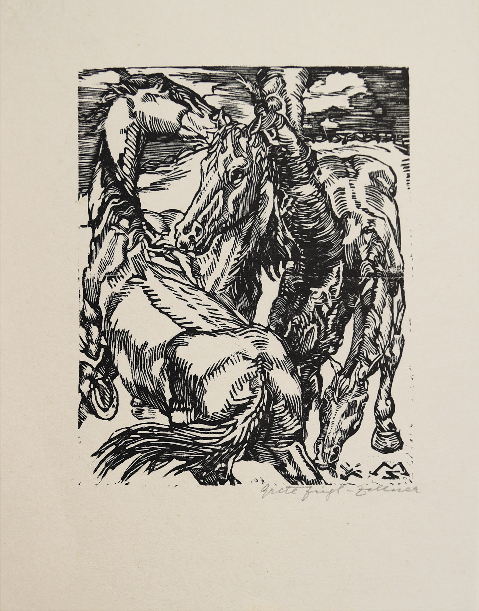 Image cover