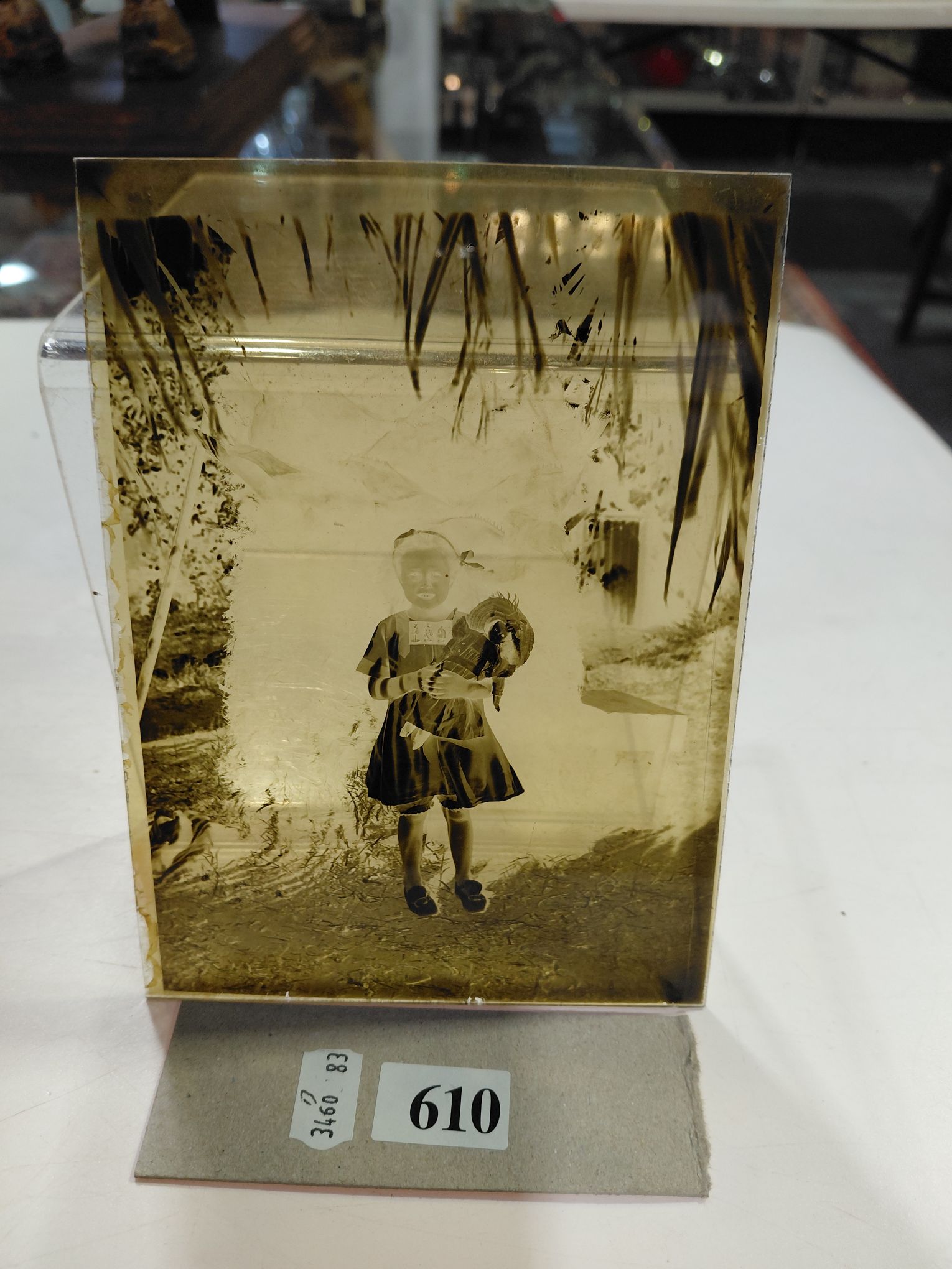 GLASS NEGATIVES