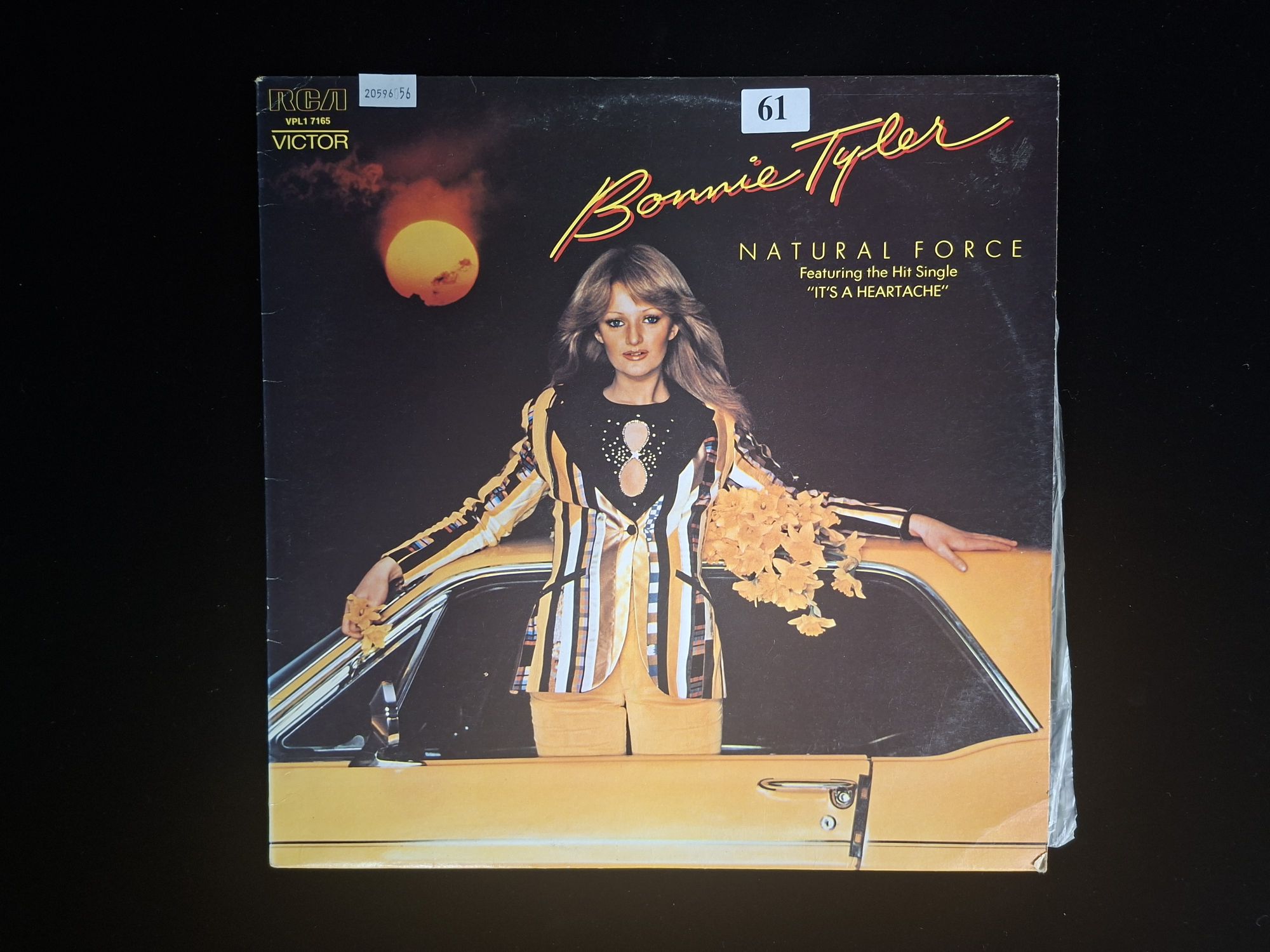 Bonnie Tyler