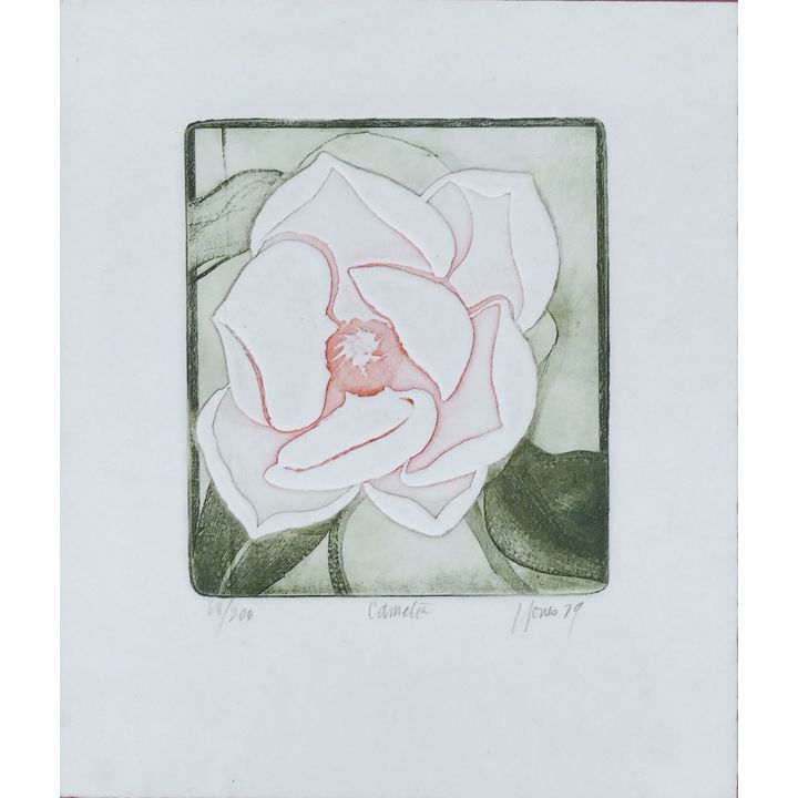Liza Jones ''Camellia'' 1979 Etching Framed 16''x15''