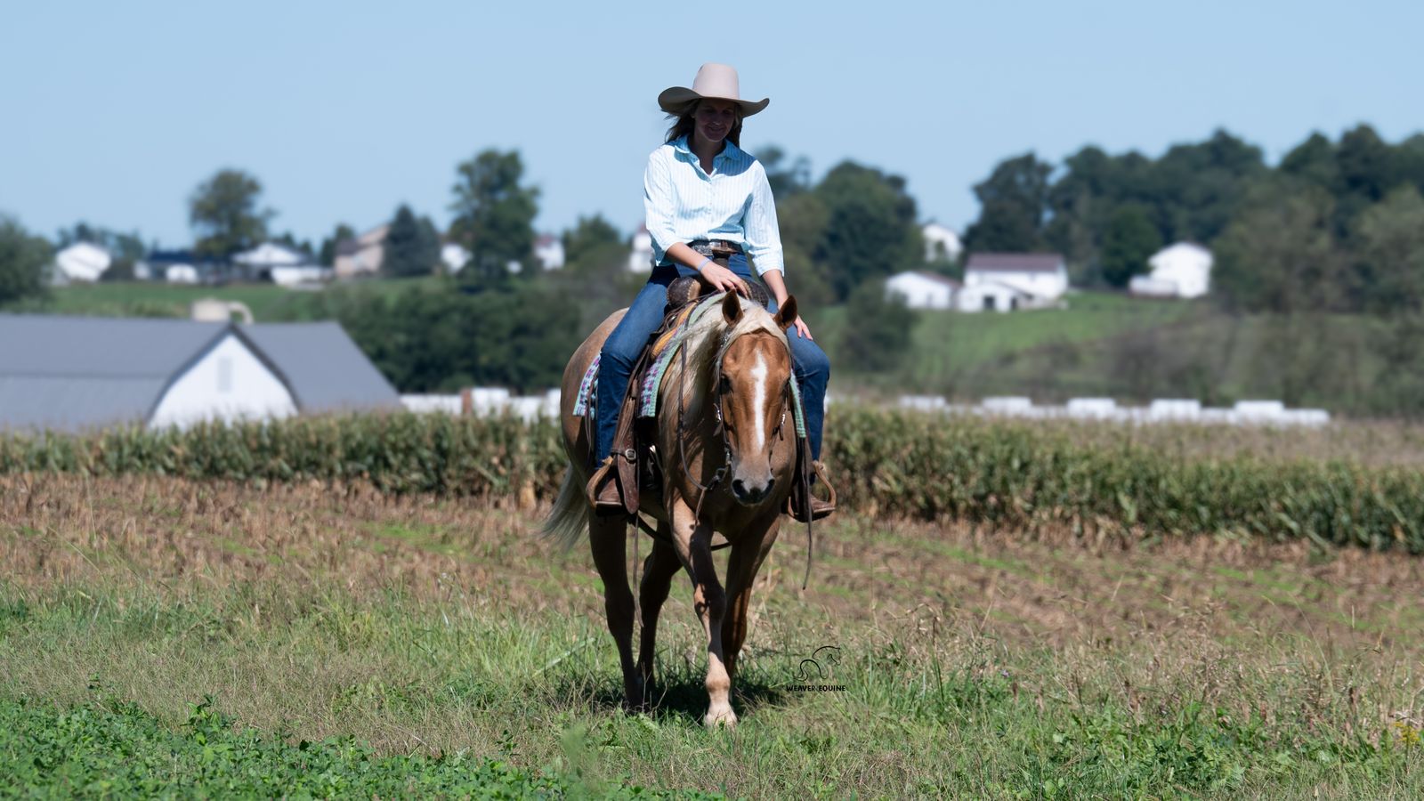 APOLLO | Horse Bid, LLC