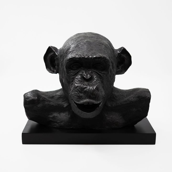 Lisa Roet 'Astro Chimp'