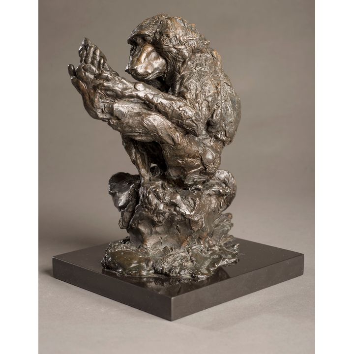 Jonathan Kenworthy (1943- ), Baboon Grooming