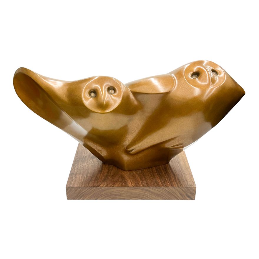 Philip McCracken ''Night Journey'' (Young Owls) Bronze