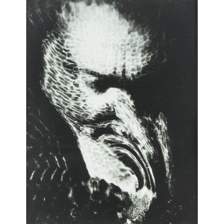 Zdzisław Beksiński | Kompozycja, 1957