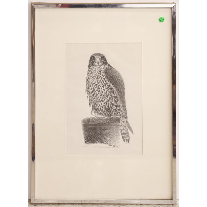 Byron Gardner ''Tok'' (Hawk) 1988 Lithograph Framed 28''x19''