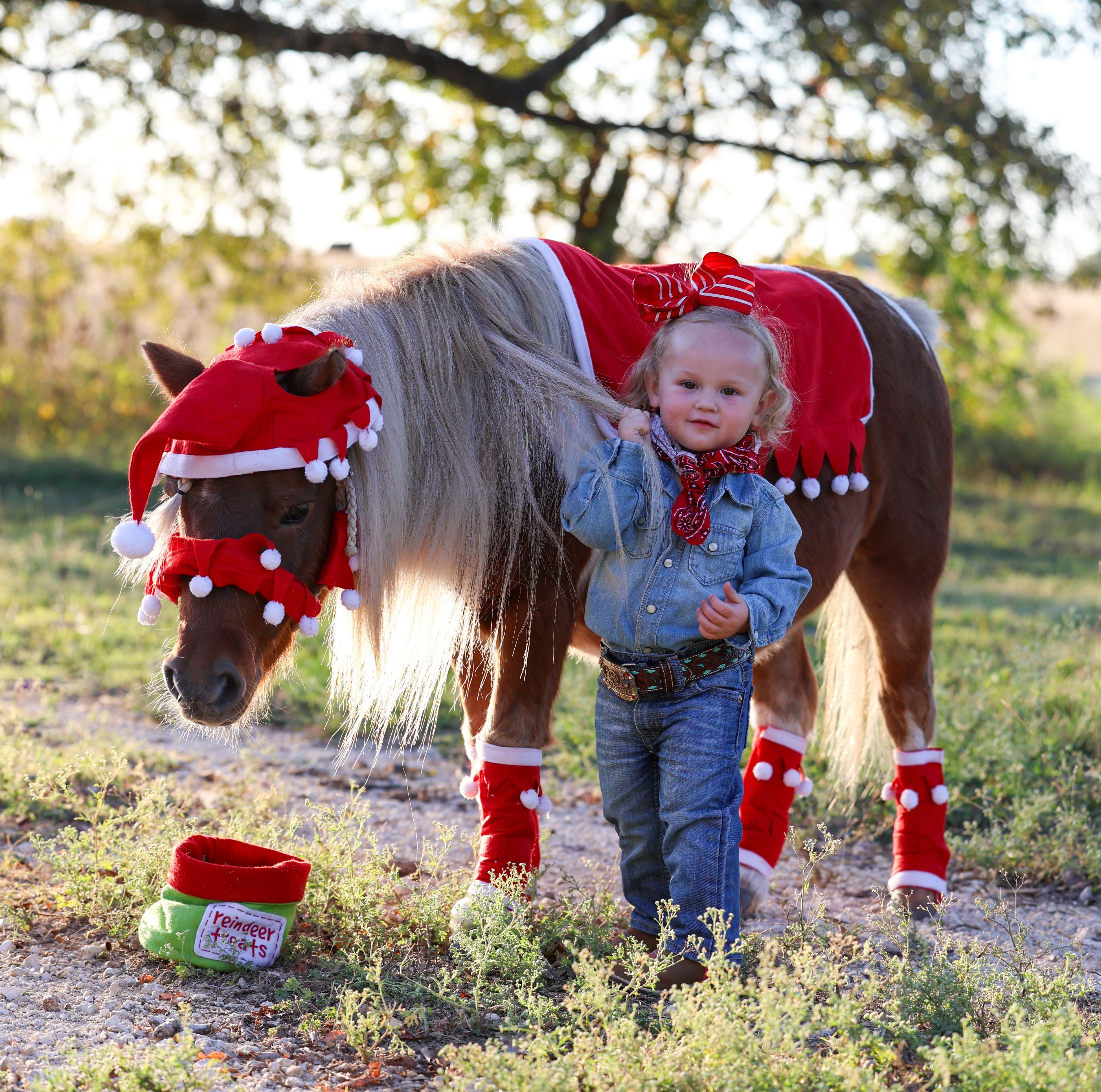 Rocky *MM Ranch* | Horse Bid, LLC