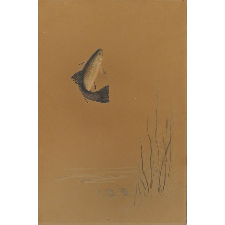 Joseph (Joe) Knowles 'Jumping Trout' Gouache & Ink on Paper.
