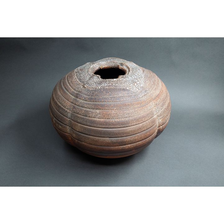 Greg Barron - Altered Form with Contours