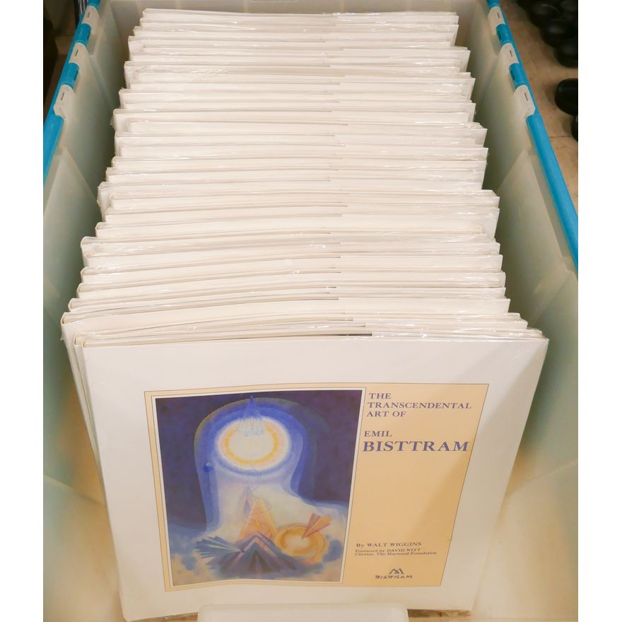 Tote 29pc Emil Bisttram Art Books