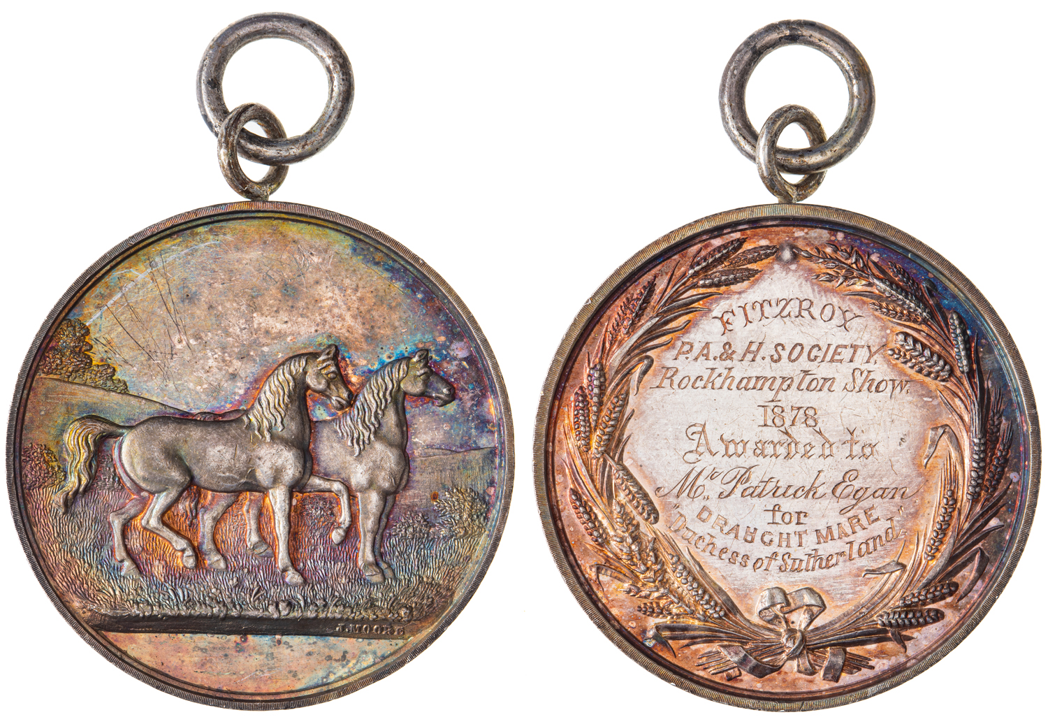 Rockhampton Show Agricultural Show, 1878, EF