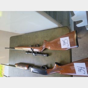 Savage Model 65M 22mag with vintage Sears 4X Scope