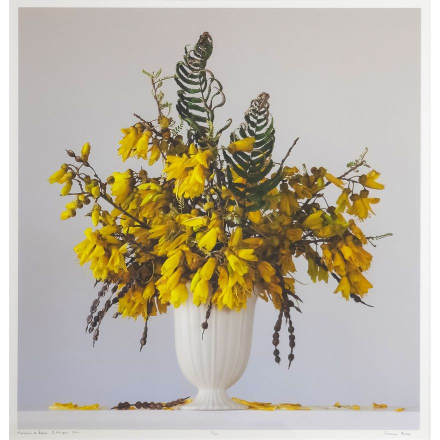 Emma Bass 'Kowhai & Fern'