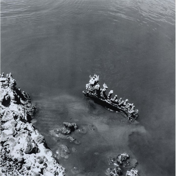 Theo Schoon 'Untitled - Waiotapu Mud Pool Study with Protruding ‘Coral’ Formation'