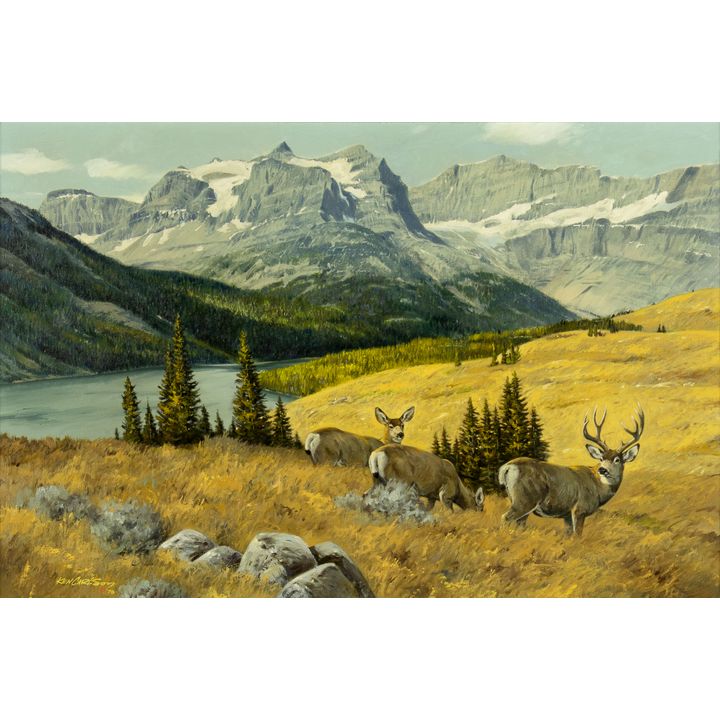 Ken Carlson (1937- ), Mule Deer in the Mountains, 1978