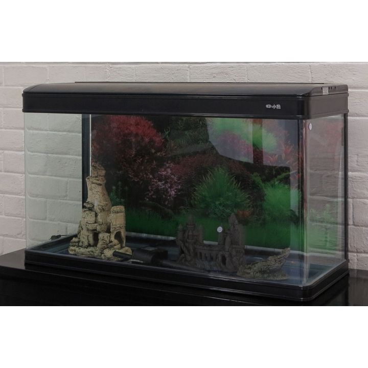 FISH TANK AND ACCESSORIES