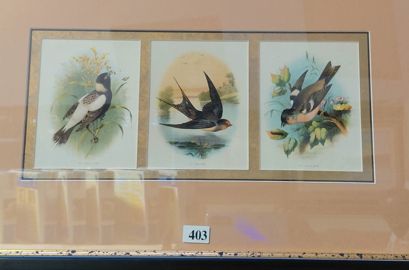 Bird Prints