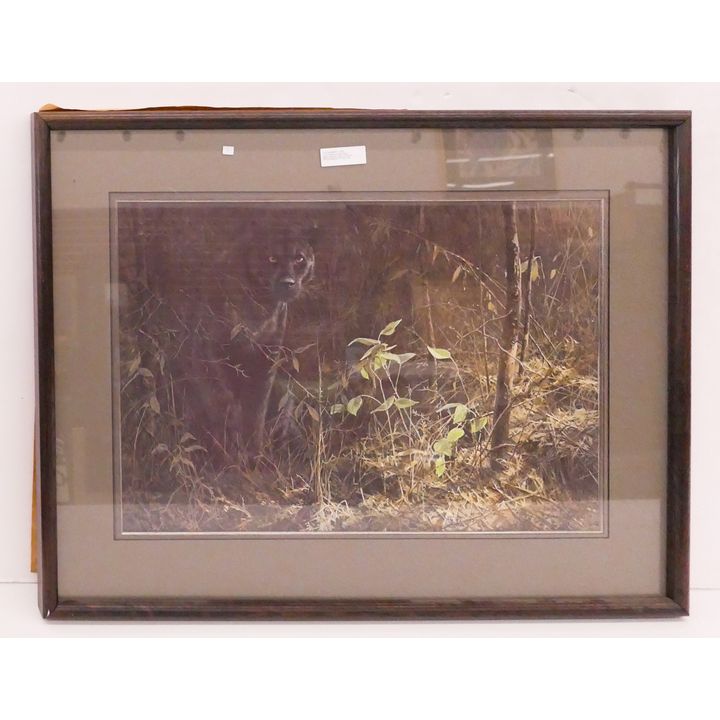 John Seerey Lester 'Black Magic' Puma Print- 29x38'' framed