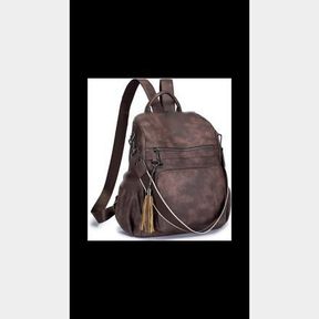 ROULENS EXECUTIVE ANTI-THEFT COMPARTMENT BACKPACK BROWN - 51626/1096