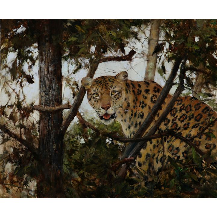 Cyrus Afsary (1941- ), Hunter